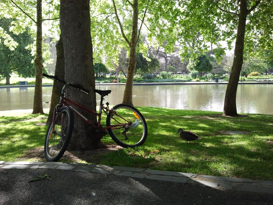 I do love how beautiful Adelaide was, however. Now, I don't just want to "enjoy" these things but make Malaysia just as picturesque, park-rich and bike-friendly as Australia is.