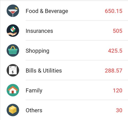 Jan 2021 expenses 2.jpg