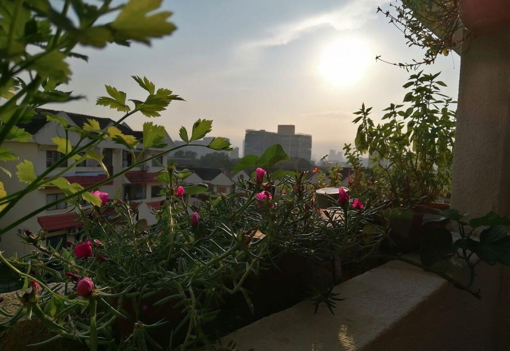 January to May 2022: A new home