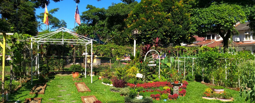 The community garden where I get down with the dirt.