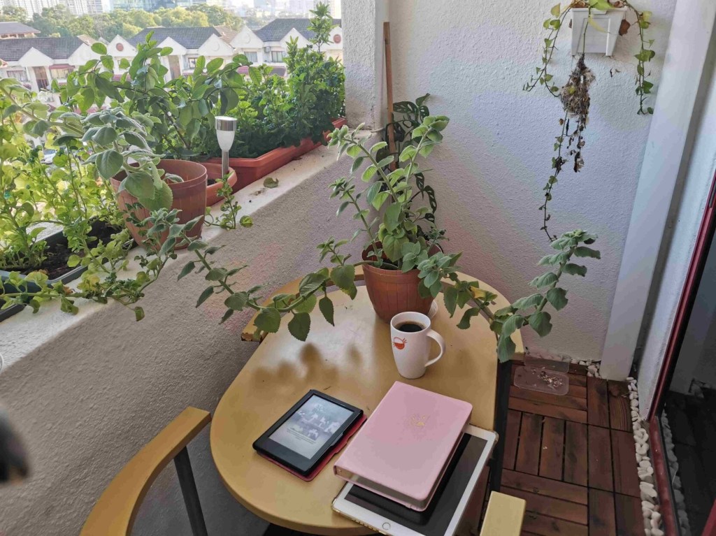 When Sunbirds built a nest in my&nbsp;balcony