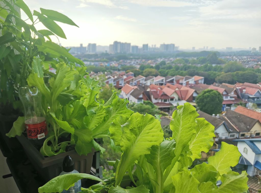 Weekend Tales #5 My ambition is to have an unextraordinary&nbsp;life