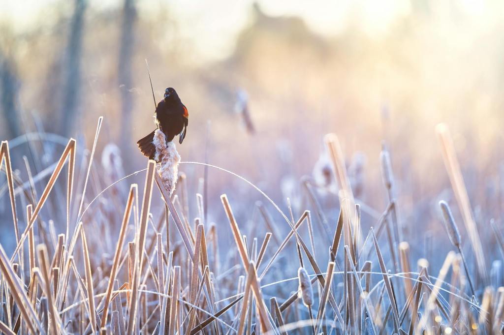 After Charlie Kirk: Reflections from&nbsp;Malaysia