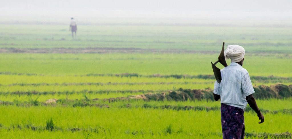 A farmer works the land